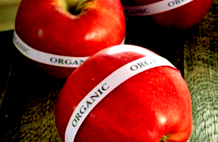 Red organic apples with organic stickers on them